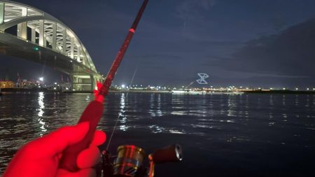 キス好調！サイズは小さい