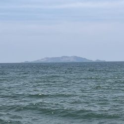 今年初キス釣り