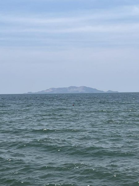 今年初キス釣り