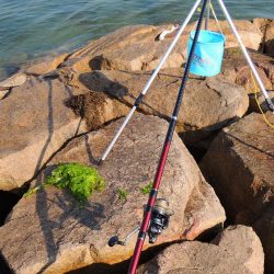 猛暑のキス釣り