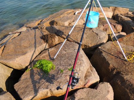 猛暑のキス釣り