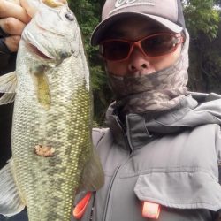 数釣りの日でした