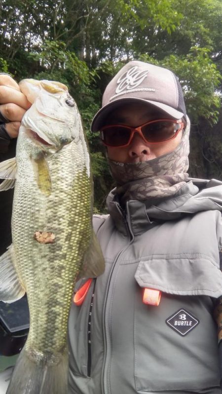 数釣りの日でした