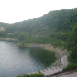 シャッドでバス