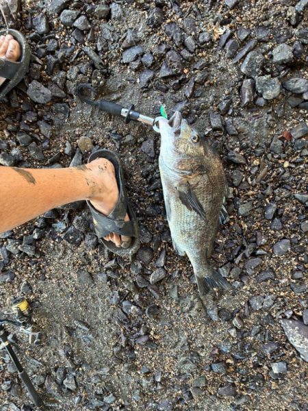 橋脚を狙ってミノーをキャスト！