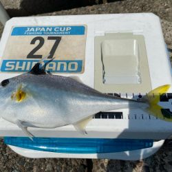 シロギスタの10種達成トリプルG