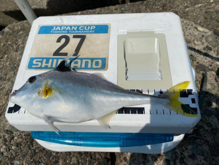 シロギスタの10種達成トリプルG