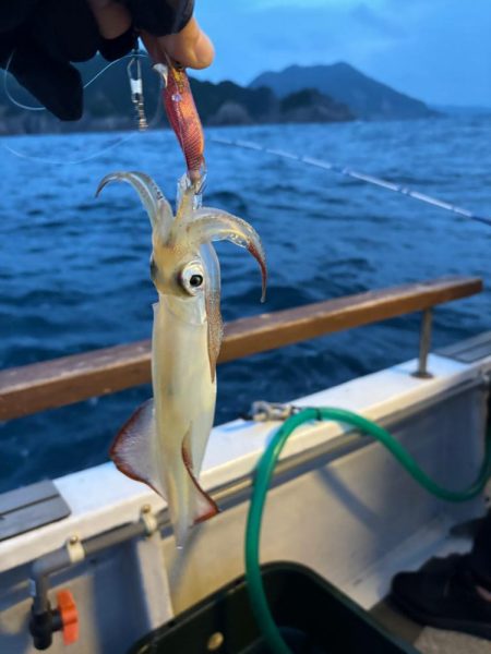 鳥取イカメタル