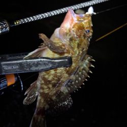 大阪ライトゲーム