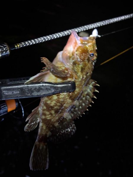 大阪ライトゲーム