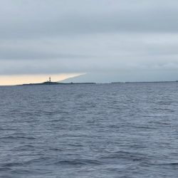 函館沖、タイラバ