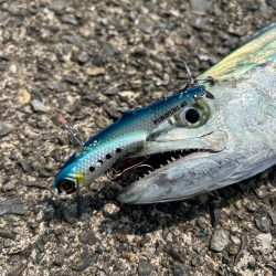 ショアジギング