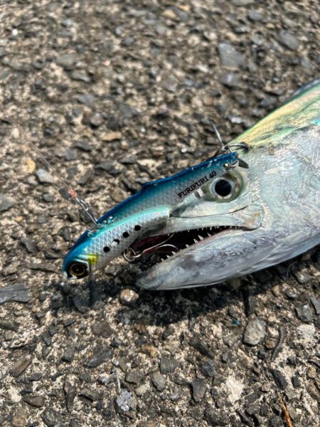 ショアジギング