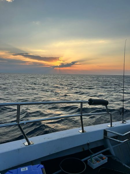 今期初イカメタル！