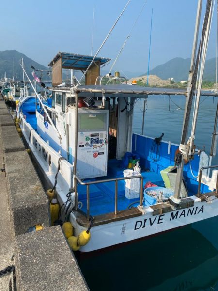 和歌山イカメタル