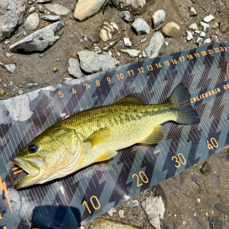 夏といえば…⁇☀️