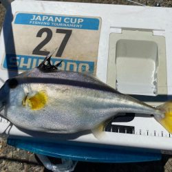 灼熱のシロギスタ