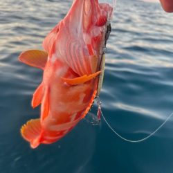 サップフィッシングSLJ