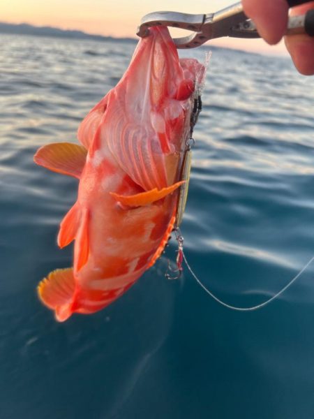 サップフィッシングSLJ