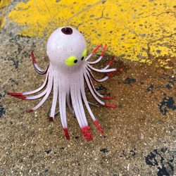 タコ釣り自己ベスト