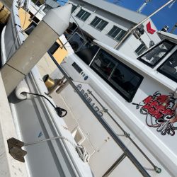 鳥取ケンサキイカ