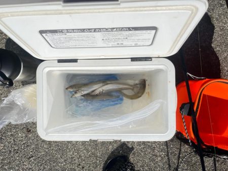 今日も行ってきました！