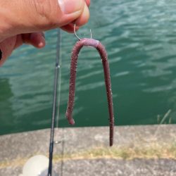 真夏の日中でも