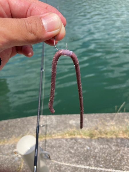 真夏の日中でも