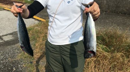 メジカ探しの旅