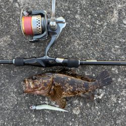 ロックフィッシュ