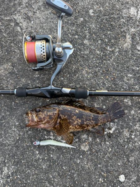 ロックフィッシュ