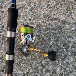 ジグサビキ　11