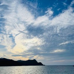 10年振りのキス釣りへ