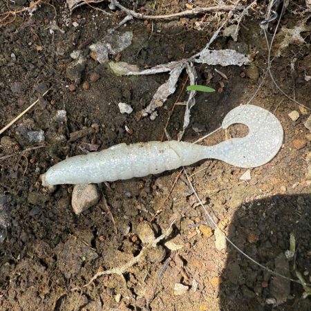 久々のフィールドへ