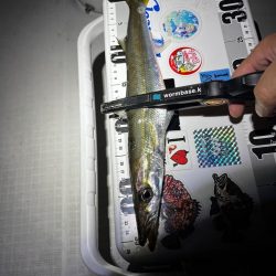 ボートアジング