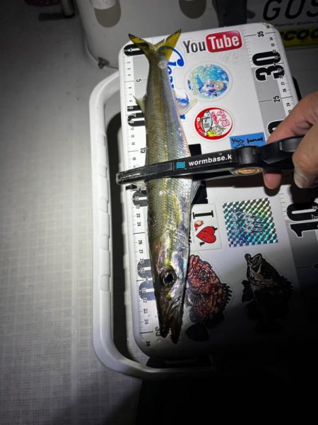 ボートアジング