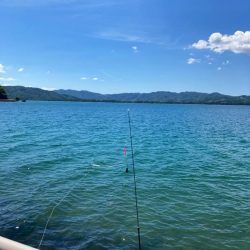 短時間でも十分な釣果出てます!