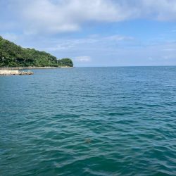 久しぶりのイカget‼︎