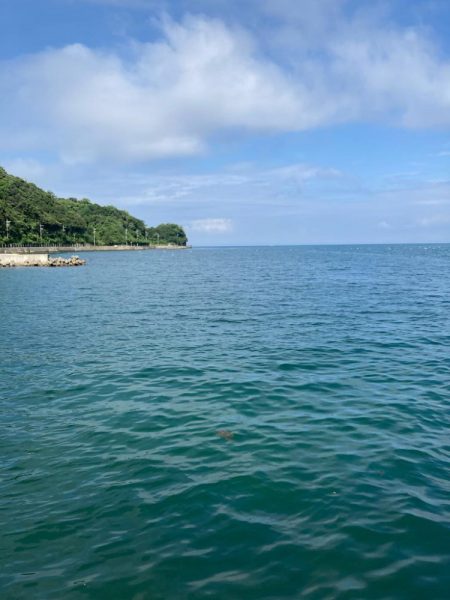 久しぶりのイカget‼︎