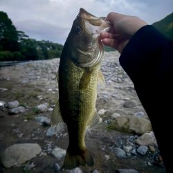 ホームグラウンド