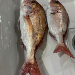 タイラバと忍耐力