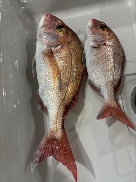 タイラバと忍耐力