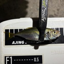 豆しか居ない〜笑笑