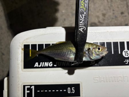 豆しか居ない〜笑笑