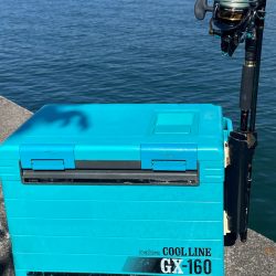 まずまず、上向き❓