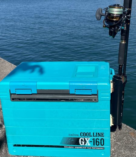 まずまず、上向き❓