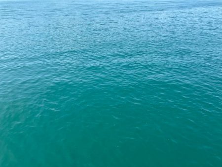 小浜新港ガラガラということは…