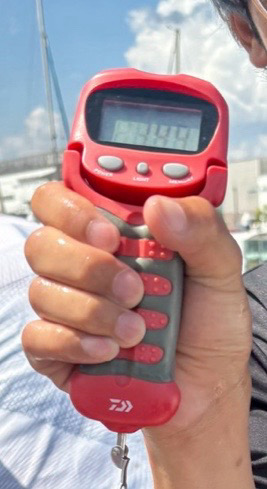 タチウオどこ？タコどこ？（苦笑）