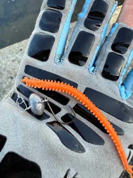 ロックフィッシュ