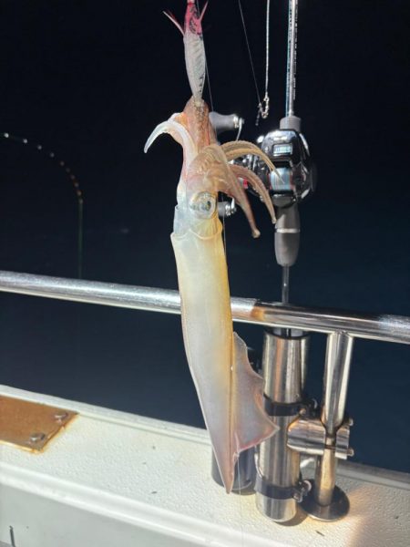 越前イカメタル